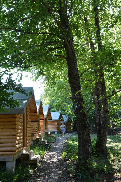 Farma Sotira Hotel Leskovik Екстериор снимка